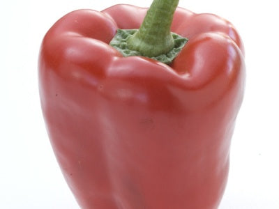 Fresh Bell Pepper 1ct