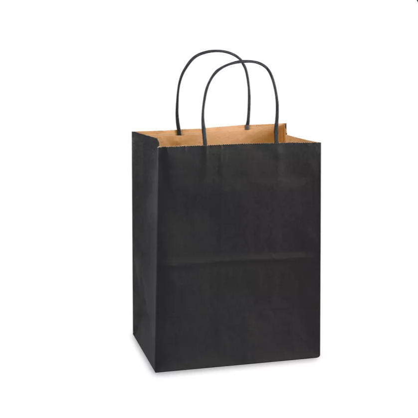 Black Gift Bag / 10x 13x5 w/Handles