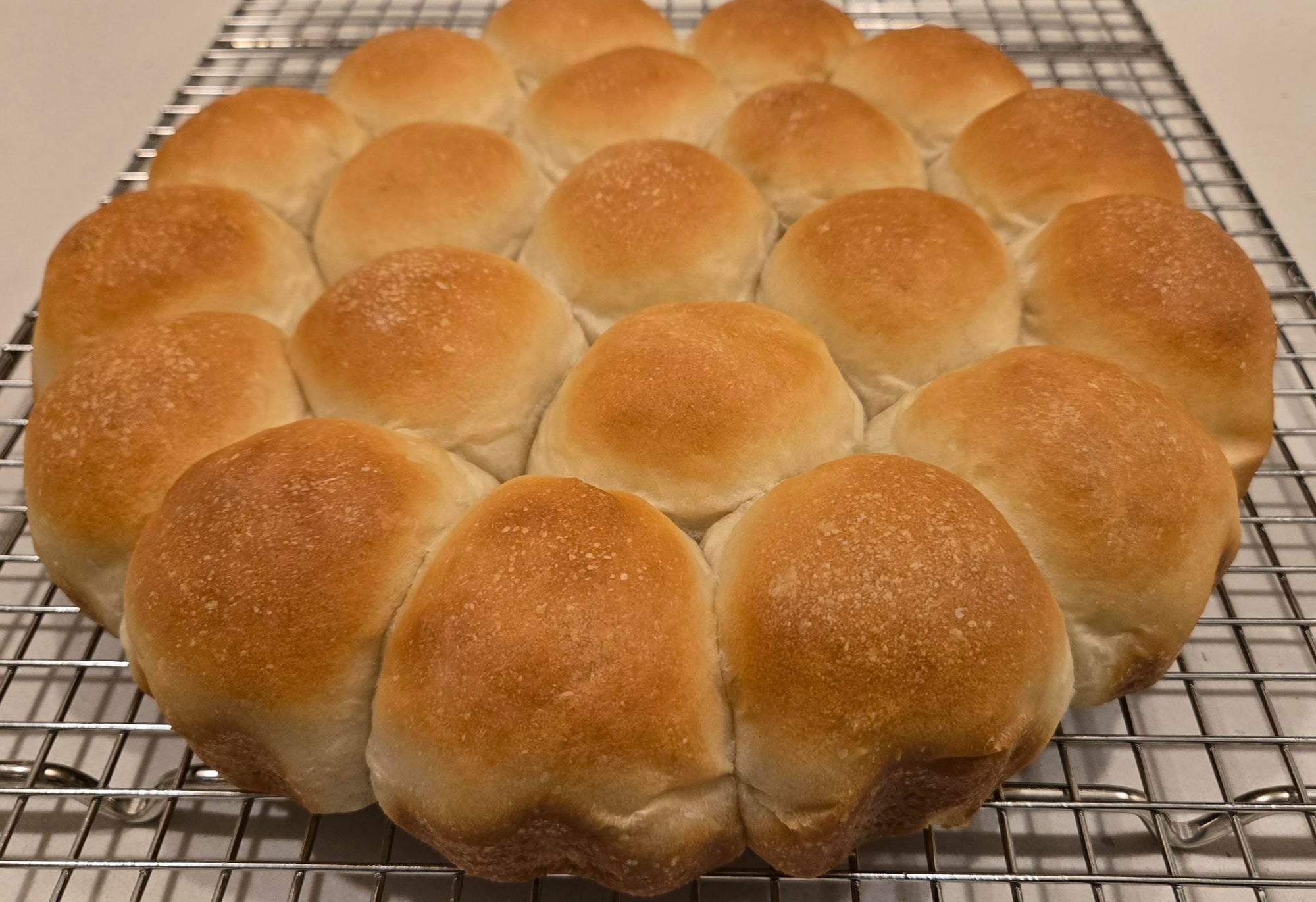 DINNER BUNS