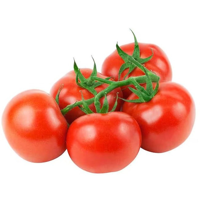 Fresh Vine Tomatoes