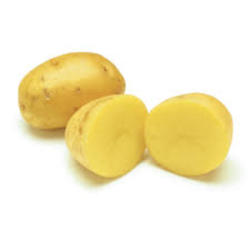 Fresh Yukon Gold Potatoes 10lb