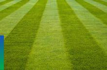 DLF Pickseed Prairie Green Grass Seed 10kg