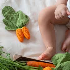 Oli & Carol Mini Doudou Teether - Cathy the Carrot
