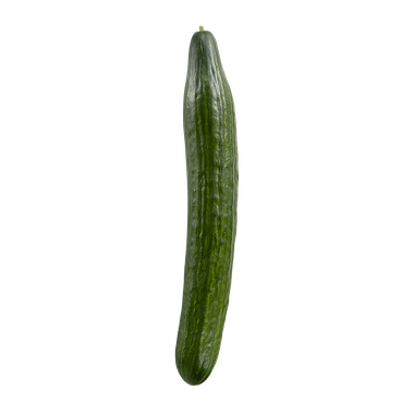 Fresh English Cucumber