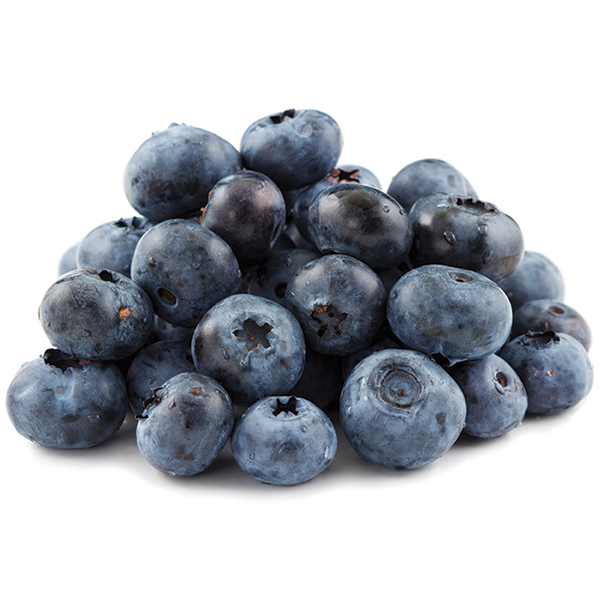 Fresh Organic Blueberries 18oz