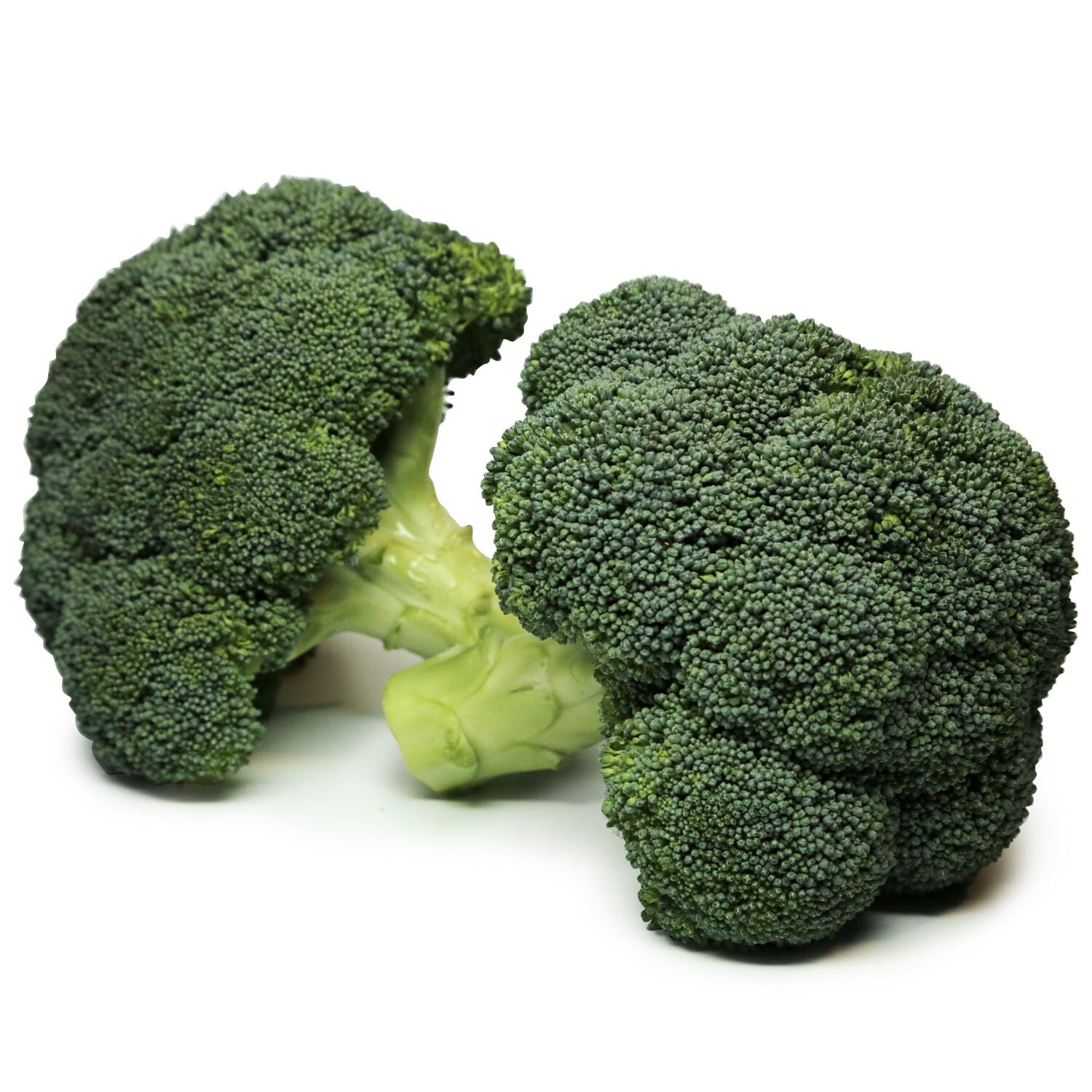 Fresh Broccoli Crowns