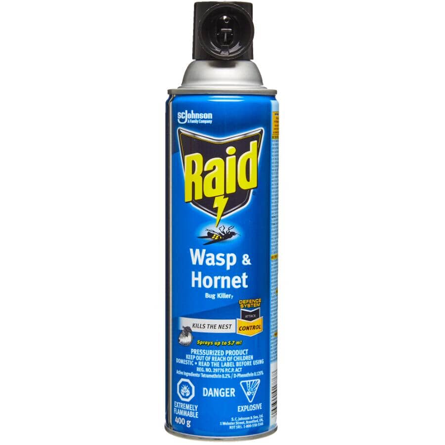 Raid Wasp & Hornet Bug Killer 400g