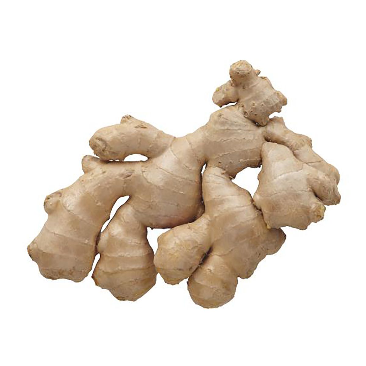 Fresh Ginger Root